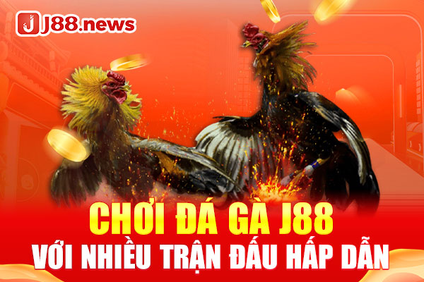 Chơi đá gà J88 với nhiều trận đấu hấp dẫn Chơi đá gà J88 với nhiều trận đấu hấp dẫn